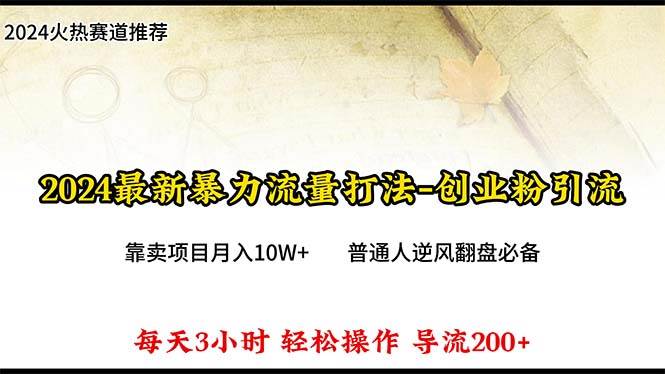 2024年最新暴力流量打法，每日导入300+，靠卖项目月入10W+-海淘下载站