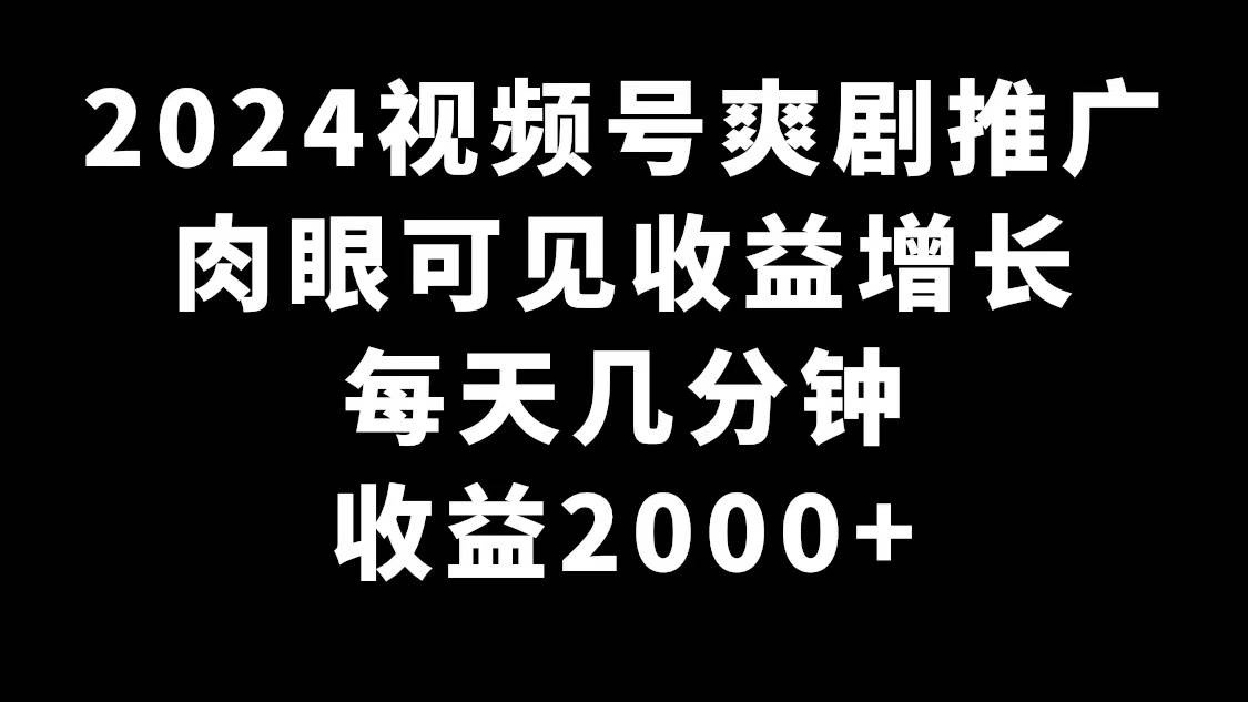 2024视频号爽剧推广，肉眼可见的收益增长，每天几分钟收益2000+-海淘下载站