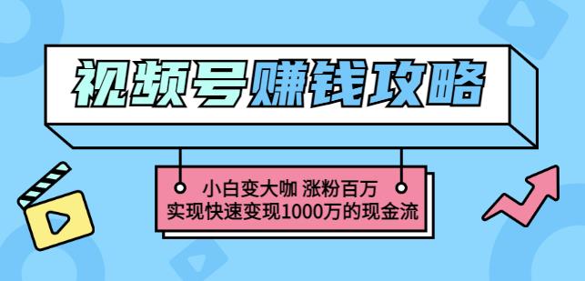 玩转微信视频号赚钱：小白变大咖涨粉百万实现快速变现1000万的现金流-海淘下载站