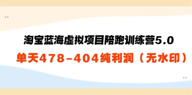 淘宝蓝海虚拟项目陪跑训练营5.0：单天478纯利润（无水印）-海淘下载站