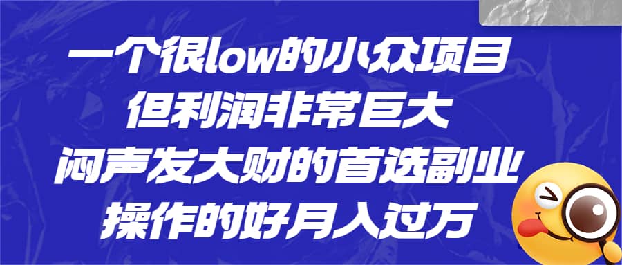 一个很low的小众项目，但利润非常巨大，闷声发大财的首选副业，月入过万-海淘下载站