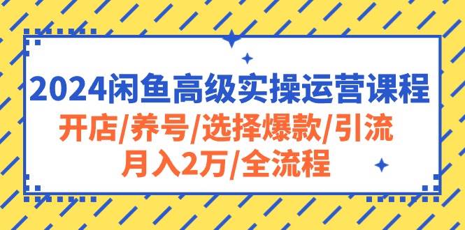 2024闲鱼高级实操运营课程：开店/养号/选择爆款/引流/月入2万/全流程-海淘下载站