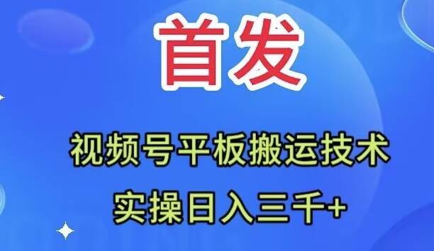 全网首发：视频号平板搬运技术，实操日入三千＋-海淘下载站