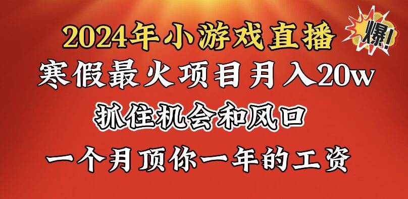 2024年寒假爆火项目,小游戏直播月入20w+,学会了之后你将翻身-海淘下载站