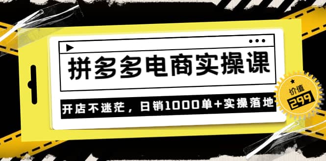《拼多多电商实操课》开店不迷茫,日销1000单+实操落地(价值299元)-海淘下载站