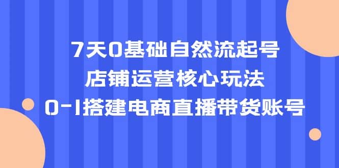 7天0基础自然流起号，店铺运营核心玩法，0-1搭建电商直播带货账号-海淘下载站