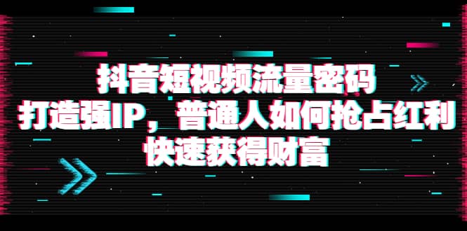 抖音短视频流量密码：打造强IP，普通人如何抢占红利，快速获得财富-海淘下载站