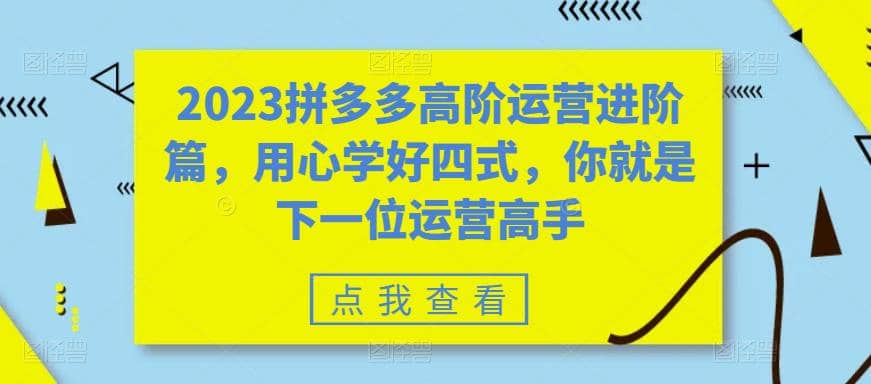 2023拼多多高阶运营进阶篇,用心学好四式,你就是下一位运营高手-海淘下载站