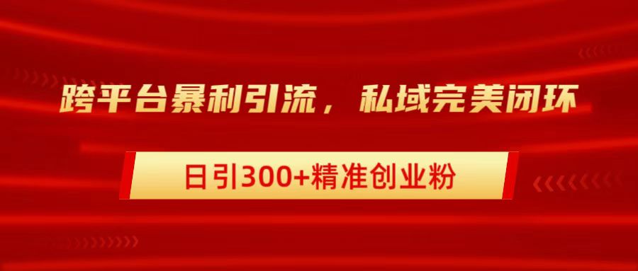 跨平台暴力引流，私域完美闭环，日引300+精准创业粉-海淘下载站