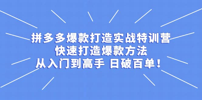 拼多多爆款打造实战特训营：快速打造爆款方法，从入门到高手 日破百单-海淘下载站