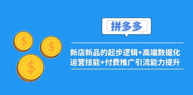 2022拼多多：新店新品的起步逻辑+高端数据化运营技能+付费推广引流能力提升-海淘下载站