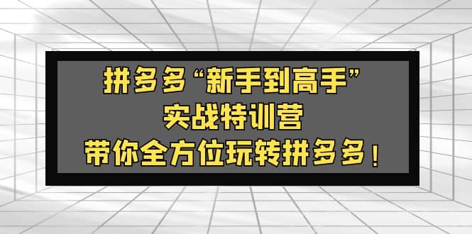 拼多多“新手到高手”实战特训营：带你全方位玩转拼多多-海淘下载站
