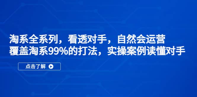 淘系全系列，看透对手，自然会运营，覆盖淘系99%·打法，实操案例读懂对手-海淘下载站