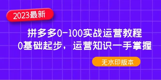2023拼多多0-100实战运营教程，0基础起步，运营知识一手掌握（无水印）-海淘下载站