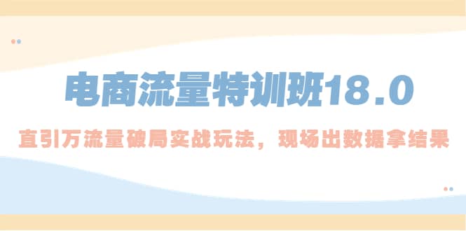 电商流量特训班18.0，直引万流量破局实操玩法，现场出数据拿结果-海淘下载站