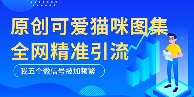 黑科技纯原创可爱猫咪图片，全网精准引流，实操5个VX号被加频繁-海淘下载站