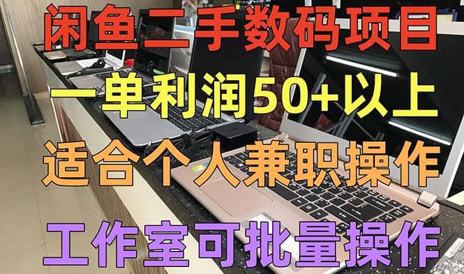 闲鱼二手数码项目，个人副业低保收入，工作室批量放大操作-海淘下载站