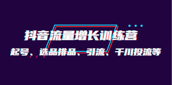 月销1.6亿实操团队·抖音流量增长训练营：起号、选品排品、引流 千川投流等-海淘下载站