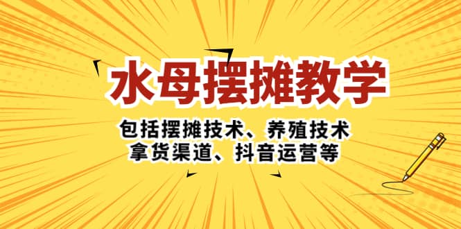 水母·摆摊教学，包括摆摊技术、养殖技术、拿货渠道、抖音运营等-海淘下载站