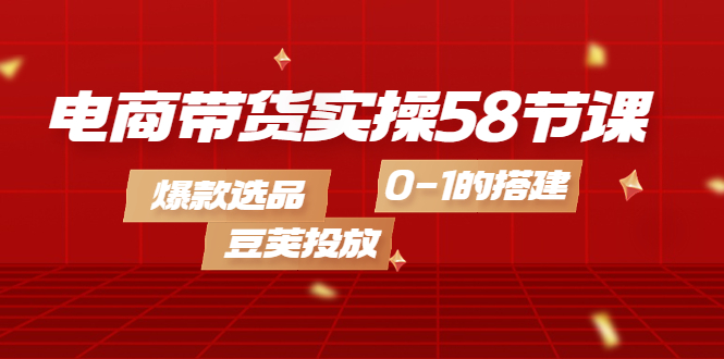 电商带货实操58节课，爆款选品，豆荚投放，0-1的搭建-海淘下载站