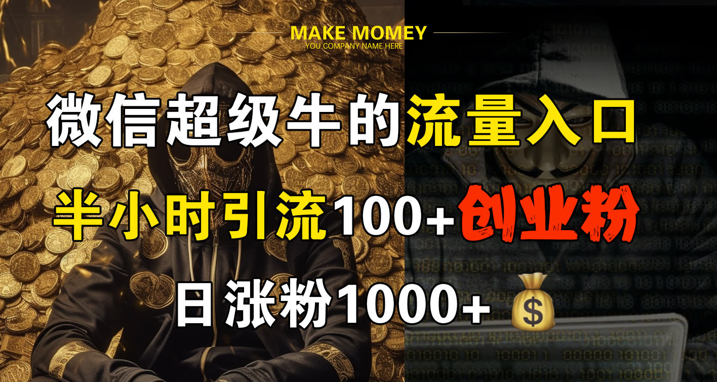 微信超级牛的流量入口，半小时引流100+创业粉，日涨粉1000+-海淘下载站