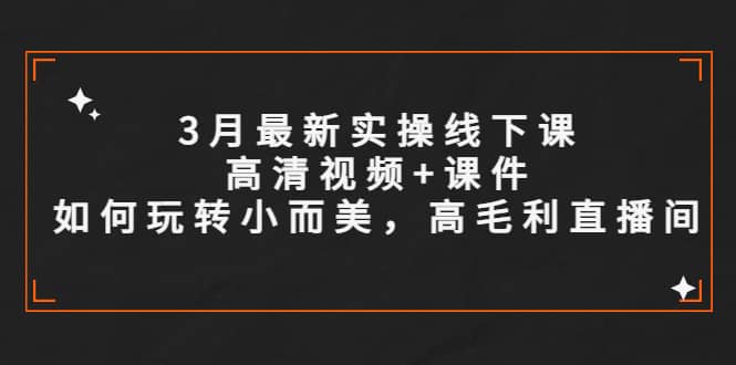 3月最新实操线下课高清视频+课件，如何玩转小而美，高毛利直播间-海淘下载站