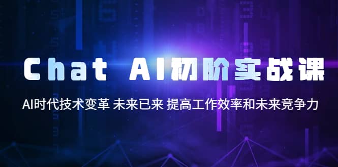 Chat AI初阶实战课，AI时代技术变革 未来已来 提高工作效率和未来竞争力-海淘下载站