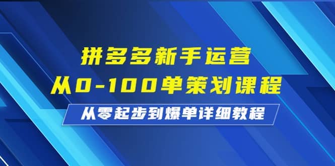 拼多多新手运营从0-100单策划课程，从零起步到爆单详细教程-海淘下载站