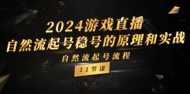 2024游戏直播-自然流起号稳号的原理和实战，自然流起号流程（11节）-海淘下载站