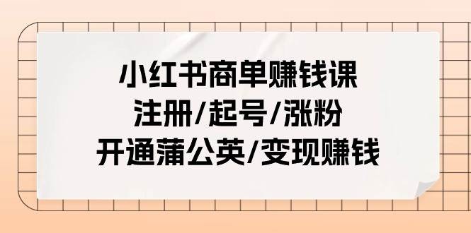 小红书商单赚钱课：注册/起号/涨粉/开通蒲公英/变现赚钱（25节课）-海淘下载站
