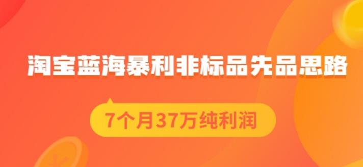 盗坤淘宝蓝海暴利非标品先品思路，7个月37万纯利润，压箱干货分享！【付费文章】-海淘下载站