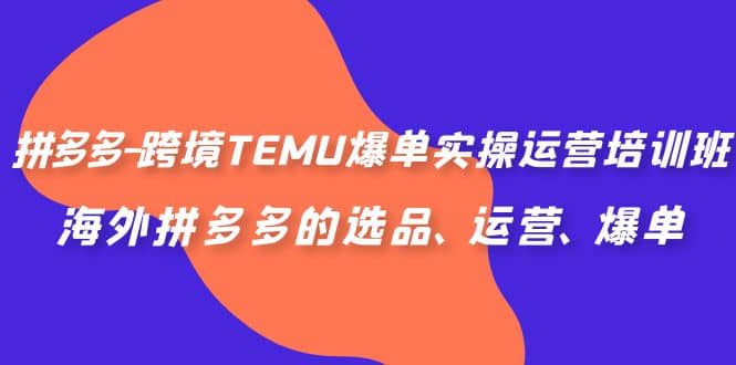 拼多多-跨境TEMU爆单实操运营培训班，海外拼多多的选品、运营、爆单-海淘下载站