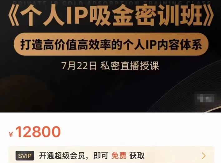 个人IP吸金密训班，打造高价值高效率的个人IP内容体系（价值12800元）-海淘下载站