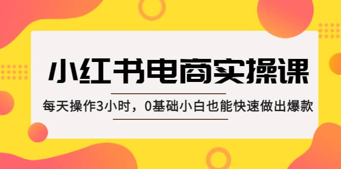 小红书·电商实操课：每天操作3小时，0基础小白也能快速做出爆款-海淘下载站