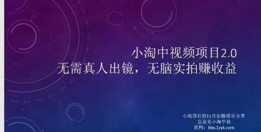 小淘项目组网赚永久会员，绝对是具有实操价值的，适合有项目做需要流程【持续更新】-海淘下载站