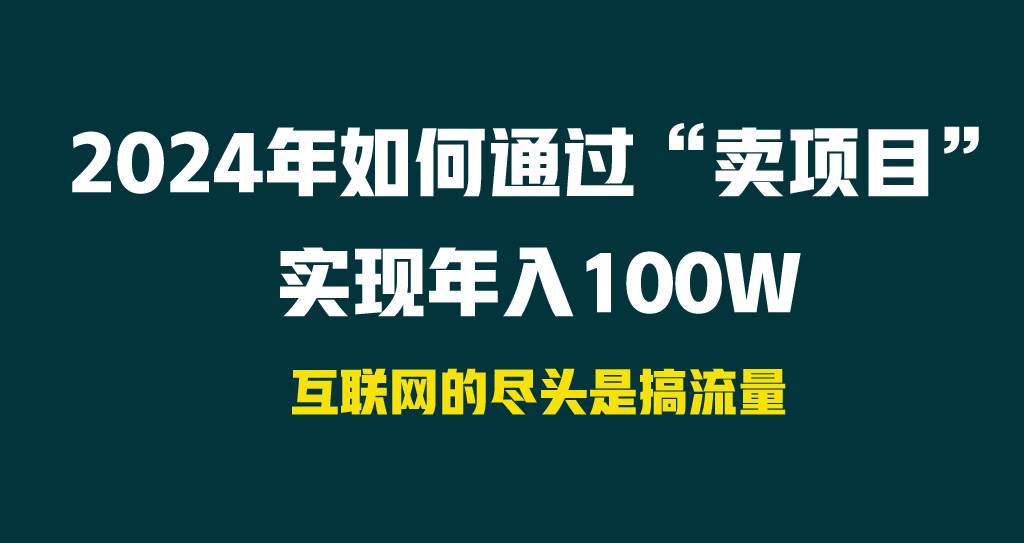 2024年如何通过“卖项目”实现年入100W-海淘下载站