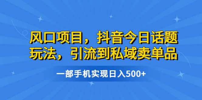 风口项目，抖音今日话题玩法，引流到私域卖单品，一部手机实现日入500+-海淘下载站