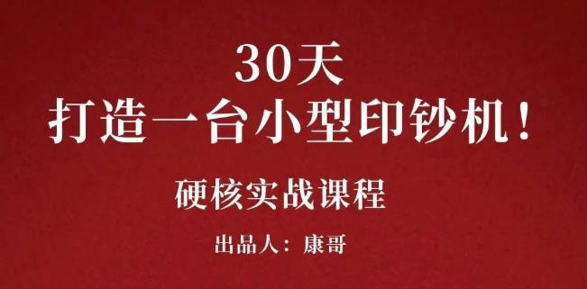 康哥30天打造一台小型印钞机：躺赚30万的项目完整复盘（视频教程）-海淘下载站