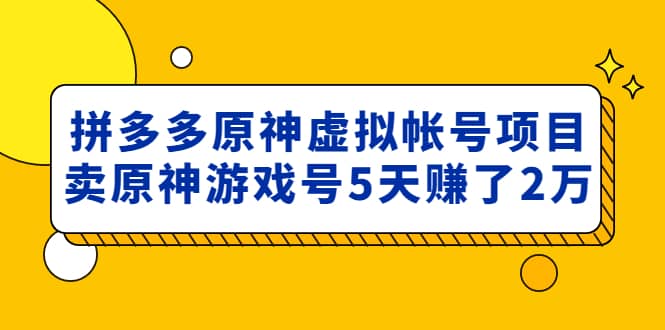 外面卖2980的拼多多原神虚拟帐号项目-海淘下载站