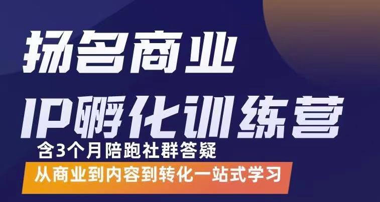 杨名商业IP孵化训练营,从商业到内容到转化一站式学 价值5980元-海淘下载站
