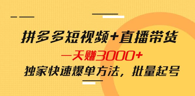 拼多多短视频+直播带货，一天赚3000+独家快速爆单方法，批量起号-海淘下载站