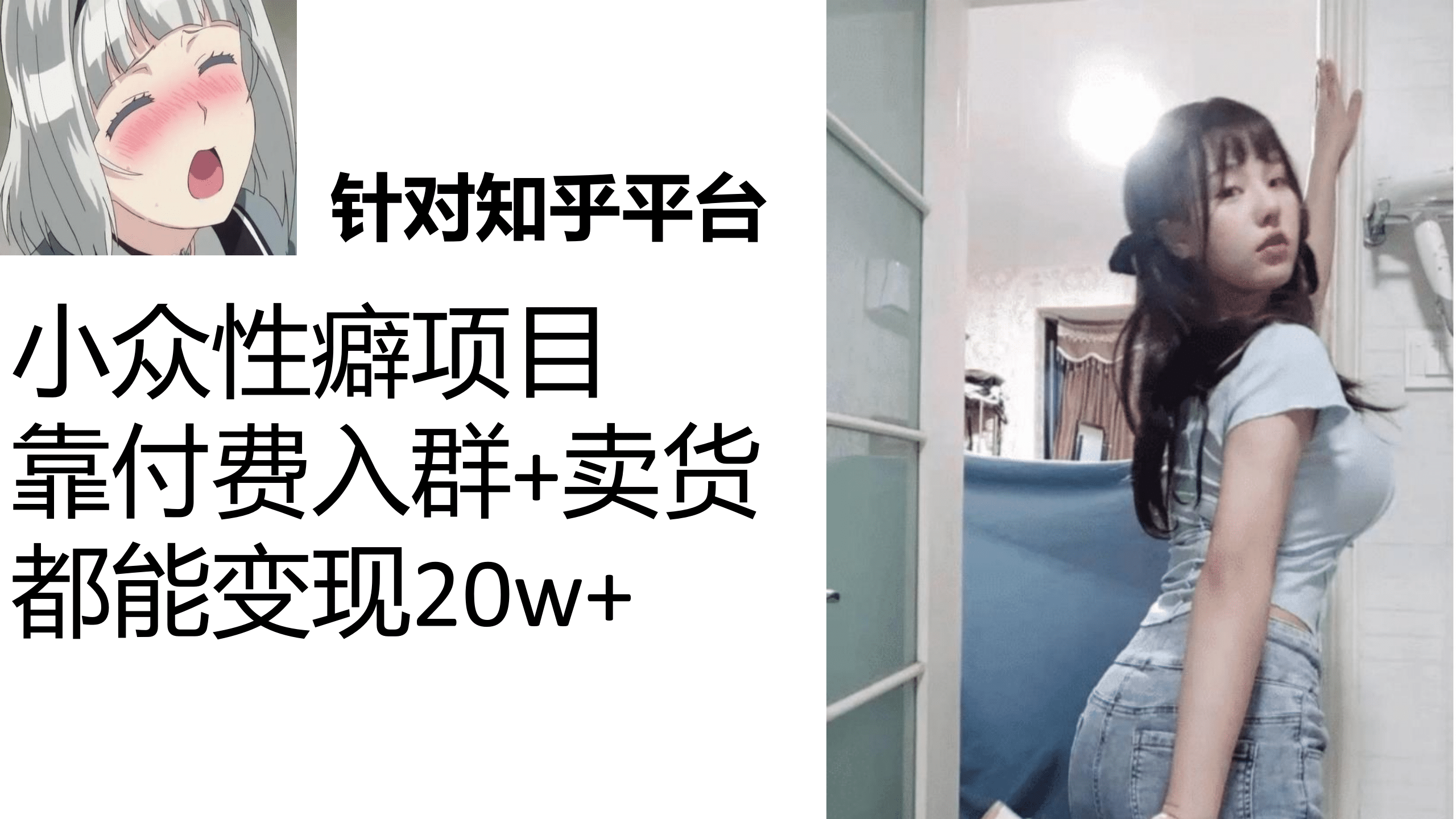 知乎小众性癖项目,Lsp的钱才是最好赚的,付费建群+卖货变现20w-海淘下载站