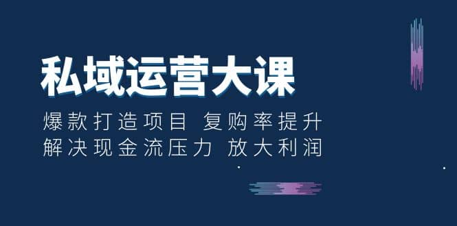 私域运营大课：爆款打造项目 复购率提升 解决现金流压力 放大利润-海淘下载站