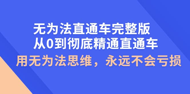 无为法直通车完整版：从0到彻底精通直通车，用无为法思维，永远不会亏损-海淘下载站