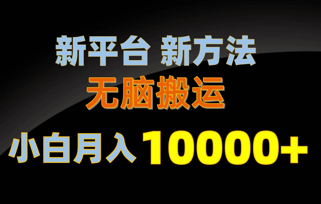 新平台新方法，无脑搬运，月赚10000+，小白轻松上手不动脑-海淘下载站