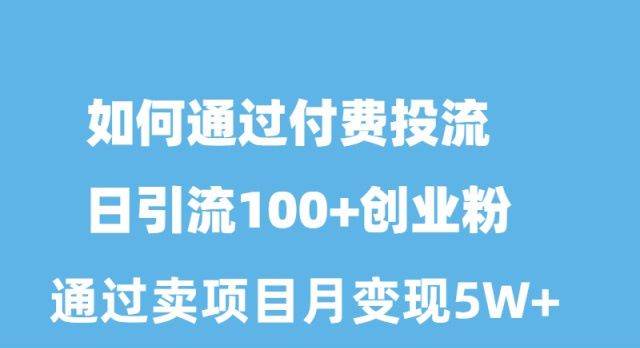 如何通过付费投流日引流100+创业粉月变现5W+-海淘下载站