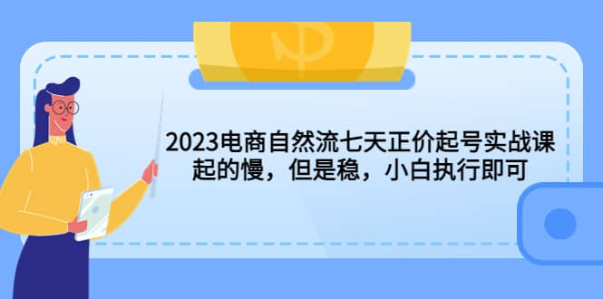 2023电商自然流七天正价起号实战课:起的慢,但是稳,小白执行即可-海淘下载站