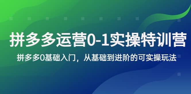 拼多多-运营0-1实操训练营，拼多多0基础入门，从基础到进阶的可实操玩法-海淘下载站