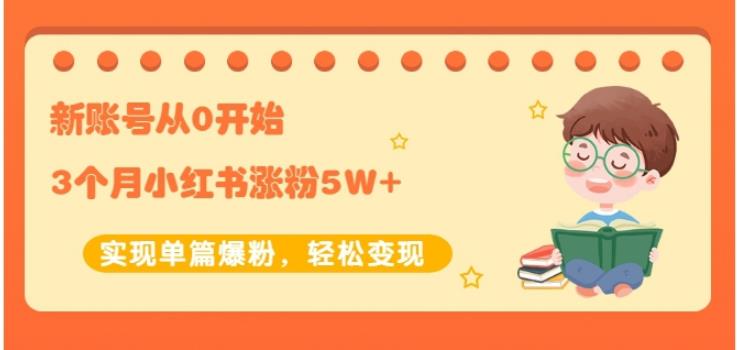 新账号从0开始3个月小红书涨粉5W+实现单篇爆粉，轻松变现（干货）-海淘下载站