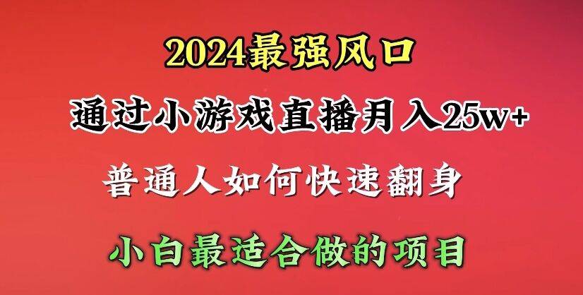 2024年最强风口，通过小游戏直播月入25w+单日收益5000+小白最适合做的项目-海淘下载站